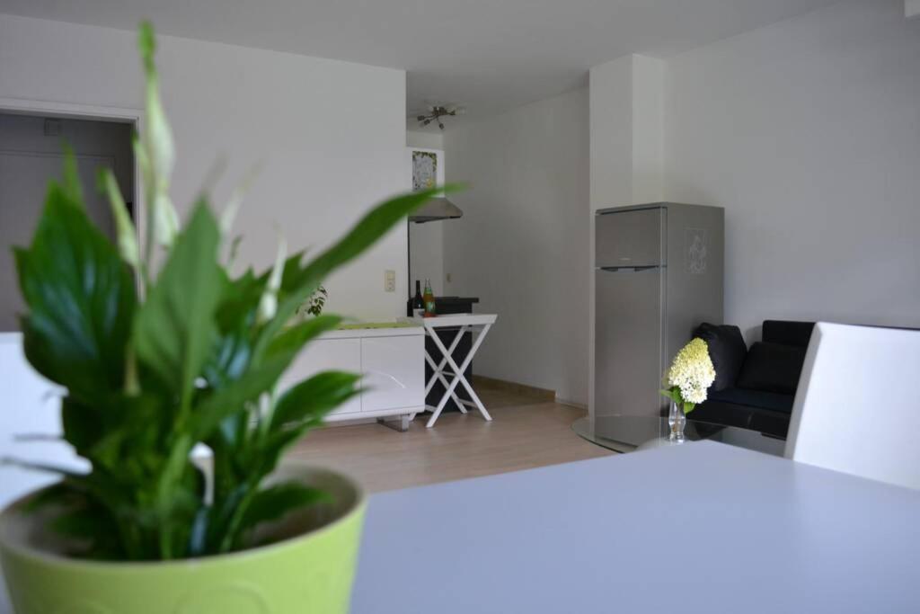 Ferienwohnung Stimmer Grainau Eksteriør billede